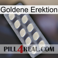 Golden Erection 08
